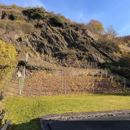 Gemütliche In Am Rhein *