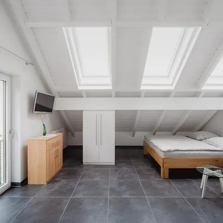 Gemuetliche In Am Rhein Apartment *