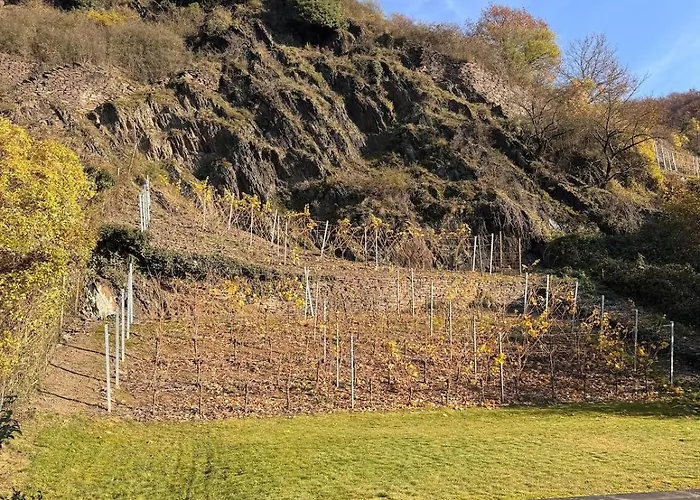 Gemuetliche In Am Rhein *