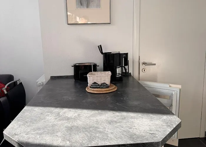 Gemuetliche In Am Rhein 公寓