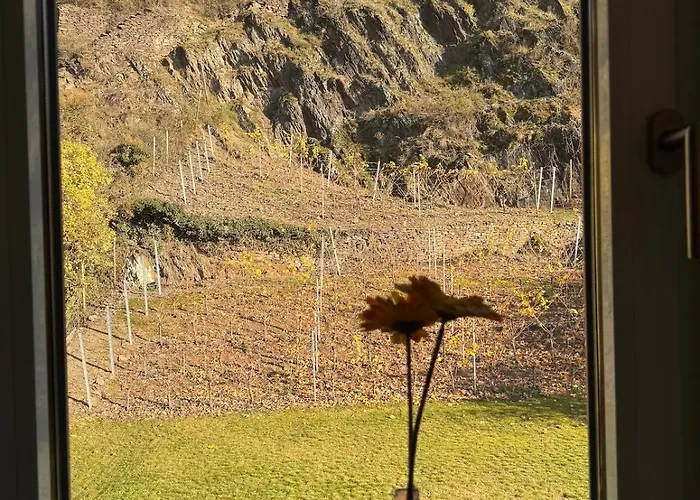 Gemuetliche In Am Rhein * Hammerstein